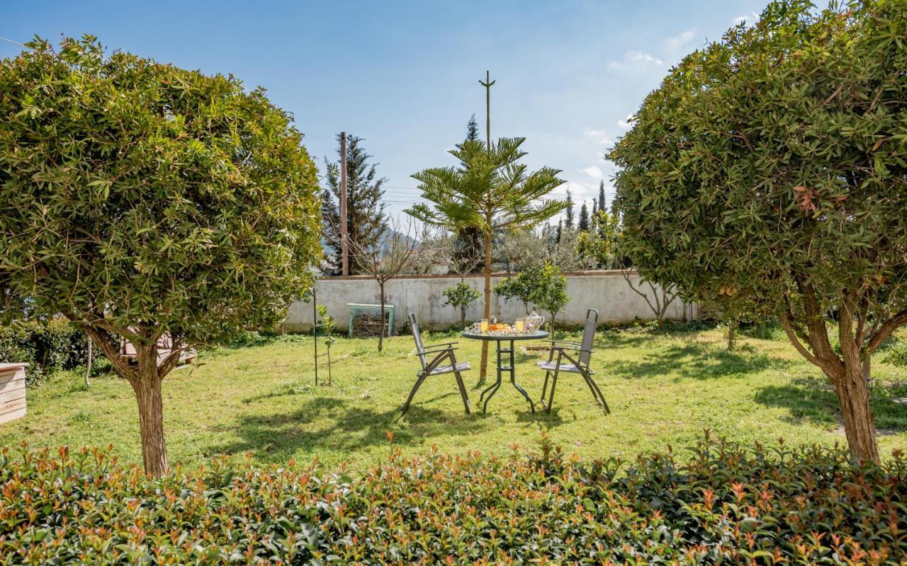 Eleni'S Cozy Apartment In Tsilivi Gaitani المظهر الخارجي الصورة